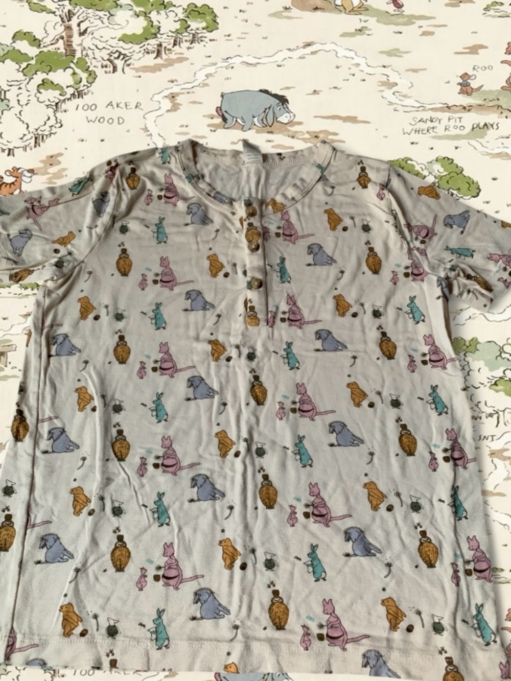 Kate Quinn Winnie the Pooh Top